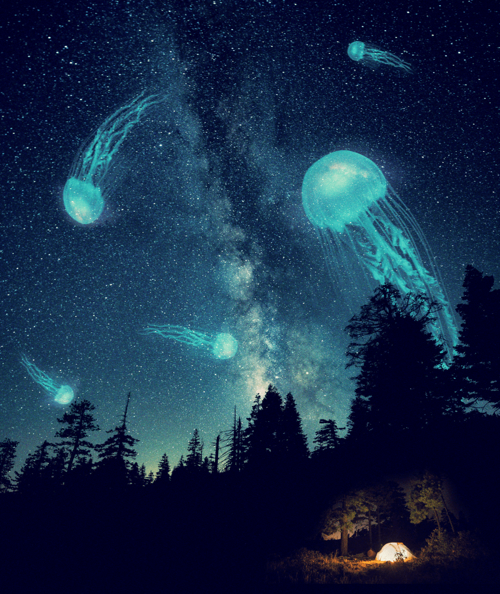 Learning Simple Composites